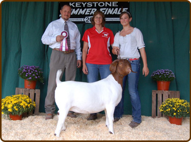 Keystone Summer Finale Thelma Yearling Reserve